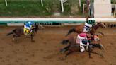 Seize the Grey crosses the finish line first in the Preakness Stakes