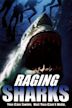 Raging Sharks – Killer aus der Tiefe