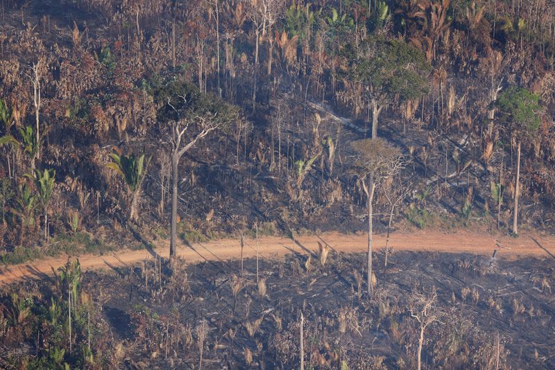 Brazil’s Lula demands faster action against organized crime in the Amazon