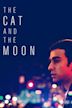 The cat and the moon