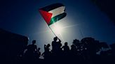 MP: Four booked, detained for ‘waving Palestine flag’