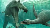Researchers say Loch Ness Monster is ‘plausible’ after fossil discovery in Morocco