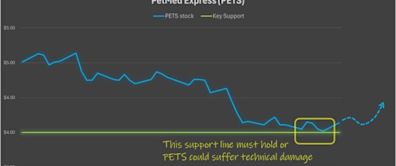 Trade of the Day: Bet on a Short Squeeze in PetMed Express (PETS) Stock