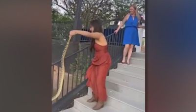 Woman wrangles loose snake at Arizona wedding