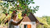 11 Disease-Resistant Apple Tree Varieties