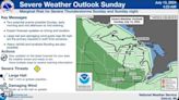 Severe thunderstorms with 60 mph wind gusts, one-inch hail possible in Michigan Sunday