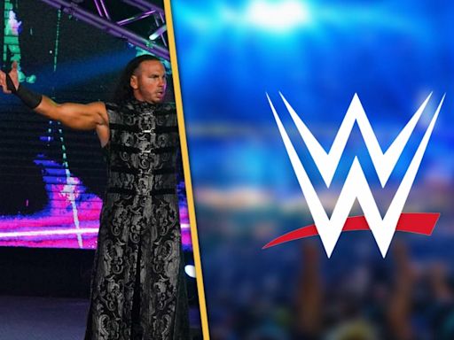 Matt and Jeff Hardy Tease Participating in TNA and WWE Partnership