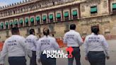Secretaría de Seguridad de Campeche da de baja a siete policías; acuden a Palacio Nacional para buscar diálogo con AMLO