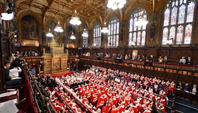 Stripping the Lords of the hereditaries would be an act of harm against our historical DNA