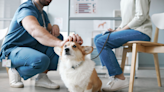 Modernizing pet care: QSM’s efficient, reliable and accessible diagnostic solutions