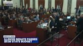 Illinois Senate passes $53 billion state budget, advances bill to House