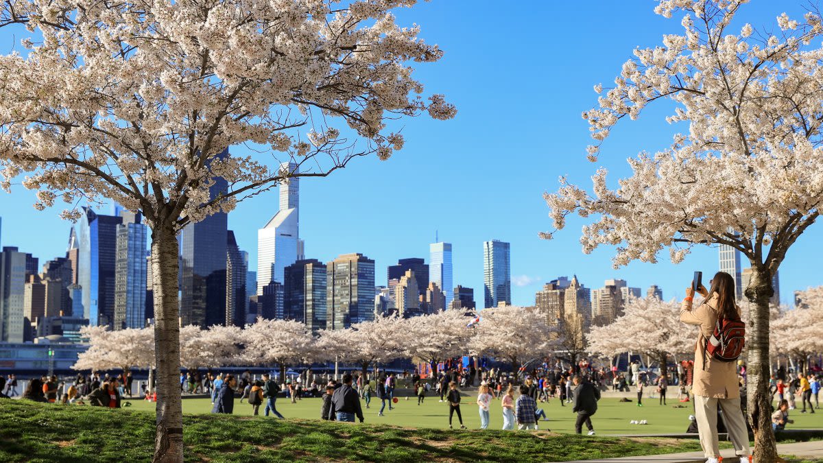 Worst NYC allergy season ever? Climate change may be to blame for the pollen surge