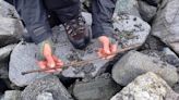 Melting ice in Norway revealed a 4,000-year-old arrow that was likely lost while ancient hunters targeted reindeer — but is now a 'bull's eye for archaeology'