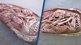 Scientists discovered perfectly preserved dinosaur embryo inside fossilized egg