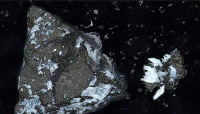 Surprising Findings in NASA’s OSIRIS-REx Asteroid Sample: Could They Unlock the Origins of Life?