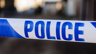 Man arrested on suspicion of murder after baby found dead in London