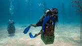 In The Florida Keys, Scientists Race To Rescue Corals From Deadly Ocean Temperatures