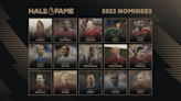 Premier League gives fans opportunity to vote for next Hall of Fame inductees after nominating 15 players