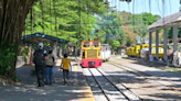 蒜頭糖廠蔗埕文化園區，搭乘五分車到高鐵站