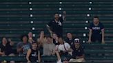 WATCH: Fan makes incredible catch at White Sox game without spilling nachos