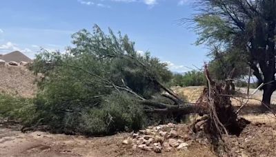 National Weather Service confirms tornado touched down in Tucson