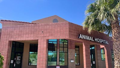 Las Vegas nonprofit provides free vaccinations to valley pets