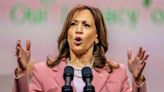 Quién es Kamala Harris, la primera vicepresidenta de la historia y la favorita de Biden para sustituirlo como candidata a presidenta de EE.UU.