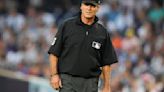Umpire Retires Baseball