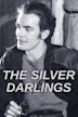 The Silver Darlings