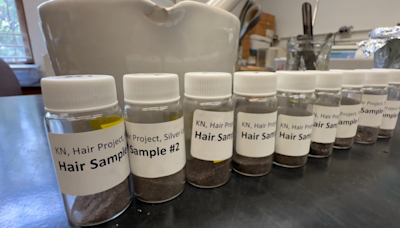 Bay Area researchers test how human hair can improve soil