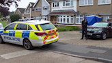 Hornchurch: Woman dies in XL bully attack at home