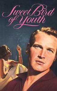 Sweet Bird of Youth (1962 film)