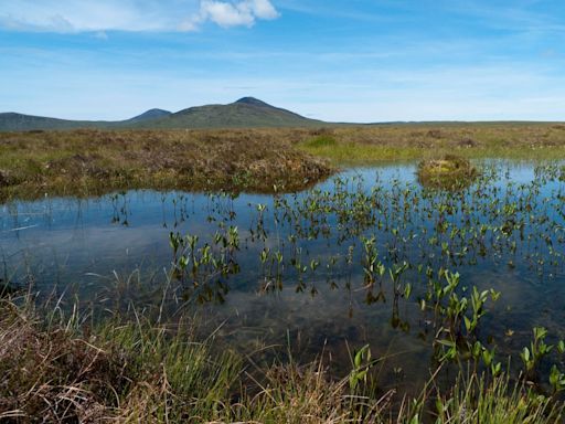 Remote peatland granted world heritage status