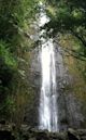 Manoa Falls