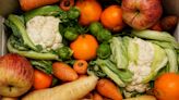 ‘Cheap food’ policy driving out British producers, MPs hear