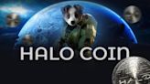 HALO COIN Ecosystem Opens Opportunities for Launching User Tokens