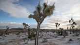 Southern California blizzard: Winter storm warning in effect for mountains through Saturday