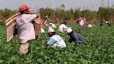 Trabajadores al aire libre mueren por el calor extremo. Tenemos la solución para salvarles la vida