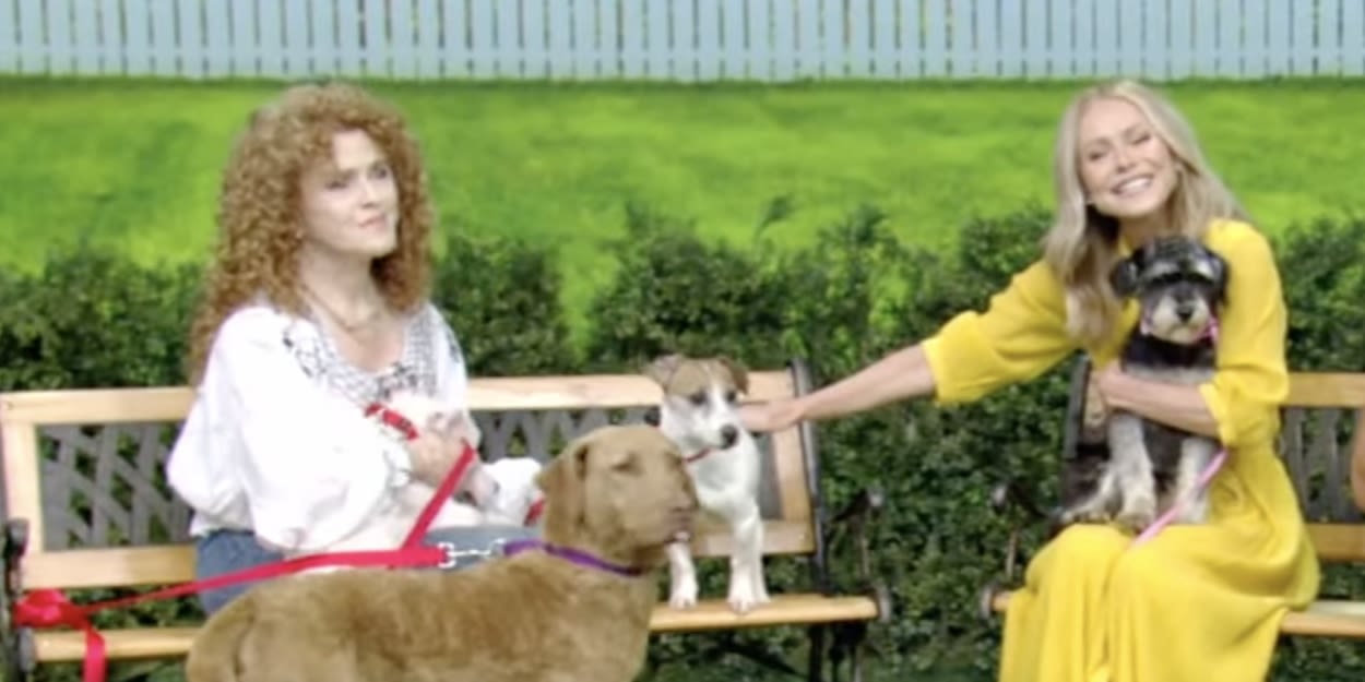 Video: Bernadette Peters Brings Adoptable Dogs to LIVE! for Broadway Barks