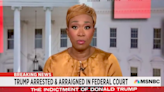 Joy Reid Bemoans Lack of Donald Trump Mug Shots After 2 Criminal Indictments: ‘How Does That Make Sense?’ (Video)