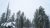 Winter storm warning issued for northern Arizona; hazardous travel conditions expected