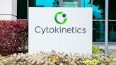 Cytokinetics CEO: Why It's OK Not Being An Overnight Success