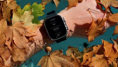 'Find My' feature helps diver recover lost Apple Watch nearly two years later - Apple Watch Discussions on AppleInsider Forums