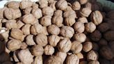 Nut recall as urgent E. coli warning issued