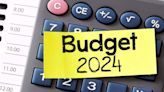 Union Budget 2024: Tech industry leaders unpack the impact - ET CIO