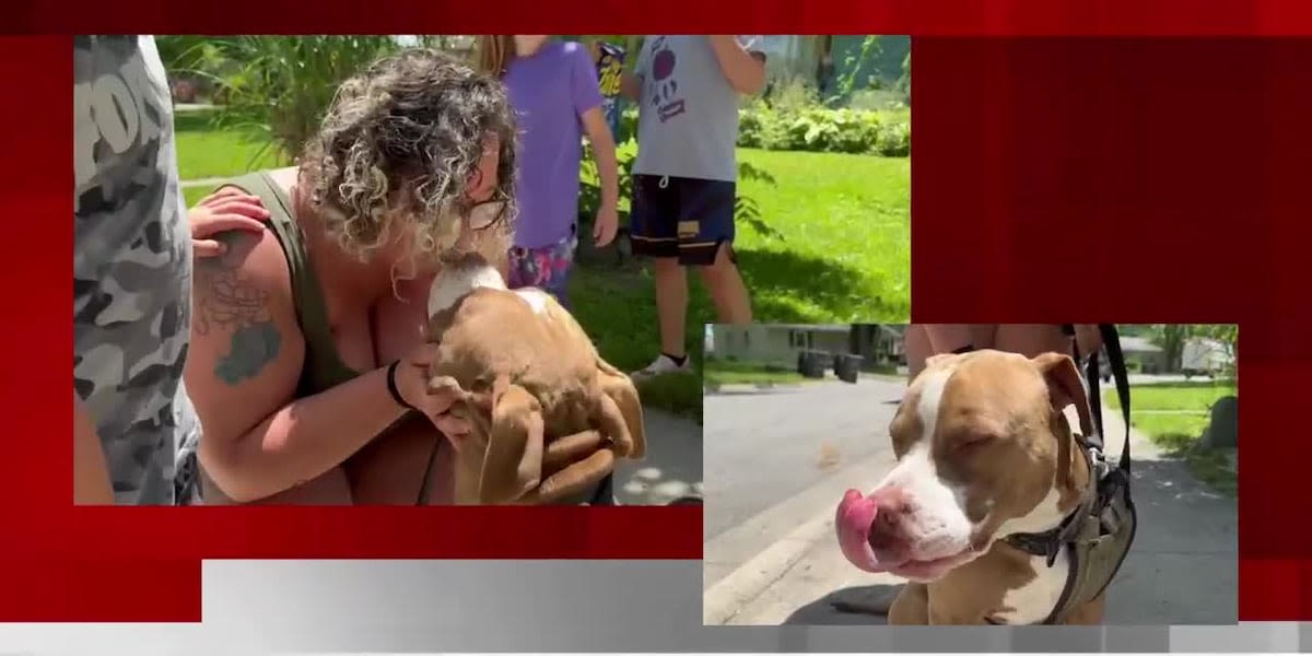 Woman’s best friend: Fort Wayne dog owner reunited with dog after nearly two years