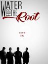 Water for the Root | Drama