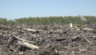 Inflation pushing next generation farmers out of the business: 'Can’t believe what things cost'