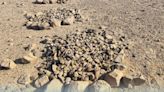 Shells for holding cosmetics among finds from thousands of years ago in mass grave in Oman