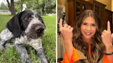 Trump’s running mate contender defends decision to shoot dead her pet dog